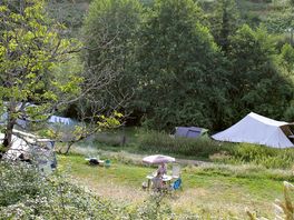 Pitches among the trees