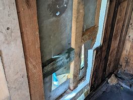 Backup shower
