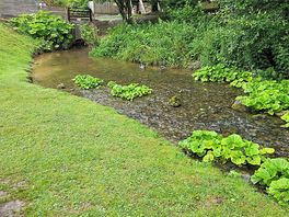 Pretty little stream.