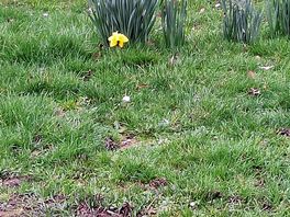 First signs of spring!