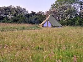 The bell tent
