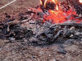 Toasting marshmallows on our little fire. you can find so much wood here too.