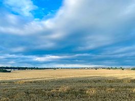 Walk along the corn field to get to the coast