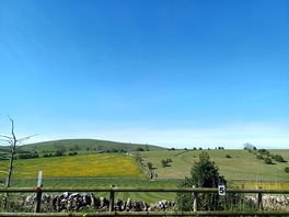 View from pitch