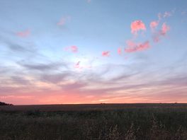 Evening sky from field near campsite. popular with the dog walkers.