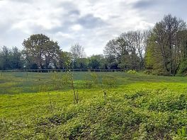 Grassy pitch