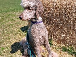 By the hay bale