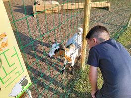 Coin des animaux