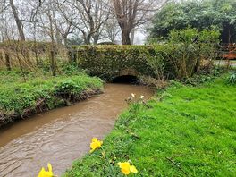 Stream in garden