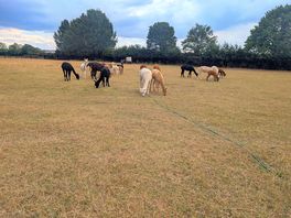 The view across the field