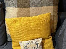 Cute pillows