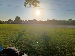 View in evening
