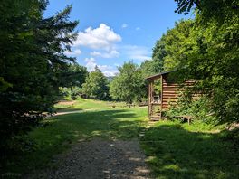 The site