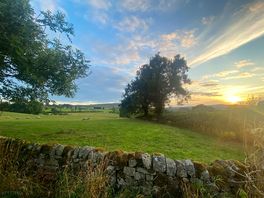 Glorious walks