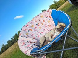 Betsi enjoying her stay!