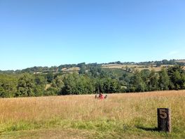 More views
