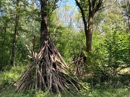 Burnt wood crossing. a beautiful forest spirits house! a moment for meditation