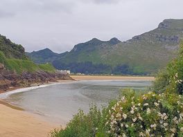 Beach at low tide next to site