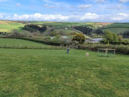 The dog walk
