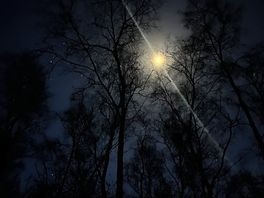 Dark skies