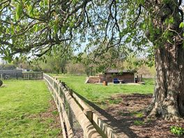 Grass pitch under the trees
