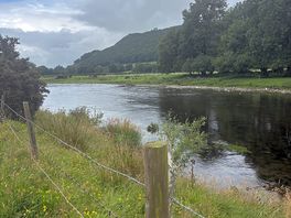 Beautiful river running through for the dog to paddle