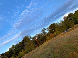 Peaceful!