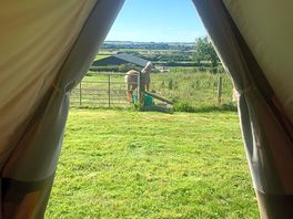 Morning views