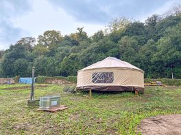 Yurt on its tree-sheltered pitch