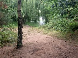 Walking