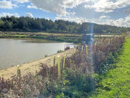 Lots of nice small walks on site