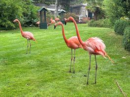 Paradise park is only a 25 min drive