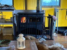 Barney our leonberger chilling by the stove