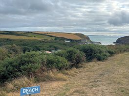 View from tent
