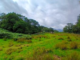 Site