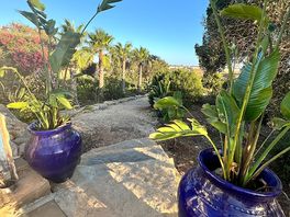 Weg zum pool