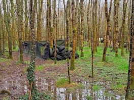 Wood area