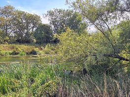 Walk near shapwick1