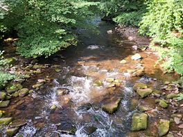 River