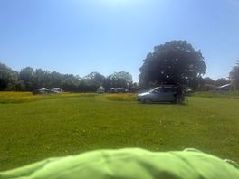 Great meadow x