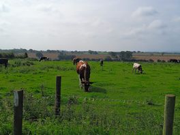 Neighbours