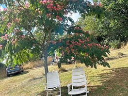 Somewhere to get a little shade.