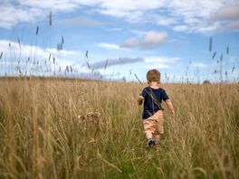 Fields