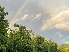 Rainbow at bowhayes