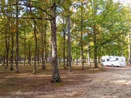 Pitches partially shaded by trees