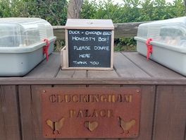 Farm eggs outside the campsite