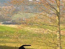From caravan window