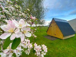 The Orchard Hideaway exterior
