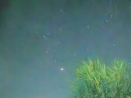 Starry night