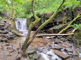 Local waterfall.